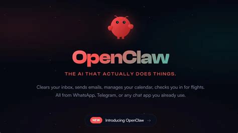 OpenAI Hires OpenClaw Creator Peter Steinberger