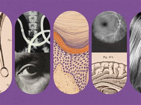 Human Detection Python-Opencv 的图像结果