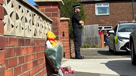 Two more arrests over baby girl's dog bite death