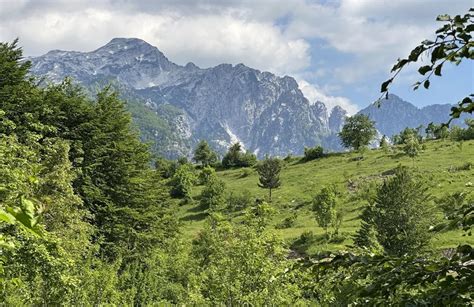 10 Best trail running trails in Shkodër | AllTrails