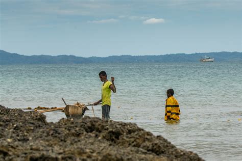 Marine resource conflicts in Africa revolve mostly around access: Study