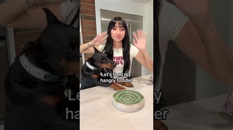 Hungry Doberman enjoys a gourmet meal in viral video