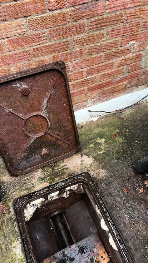 Long term rat infestation … After lifting this lid i just knew this ha ...