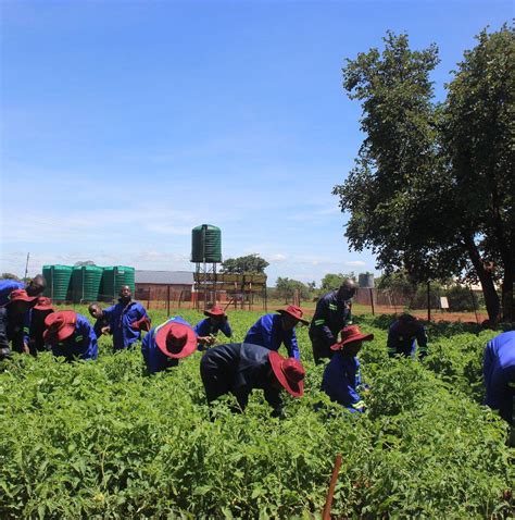 Stmarkshigh - Piggery project | Facebook