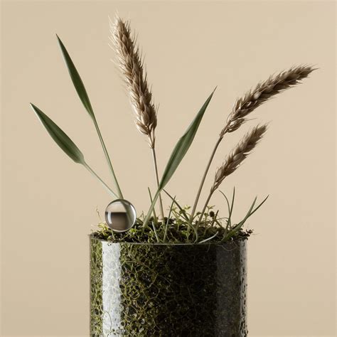 What Are the Three Pillars of Sustainability in LCSA? → Learn