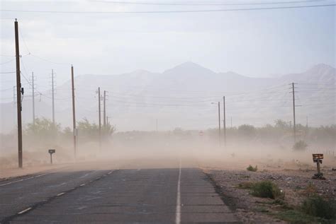 What are fungal storms and are they in Florida?