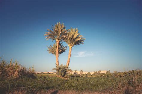 Fotogalerie - Luxus Nilkreuzfahrt Boutique-Dahabeya Queeny Of The Nile