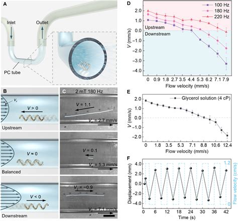 Femtosecond laser–assisted printing of hard magnetic microrobots for swimming upstream in ...