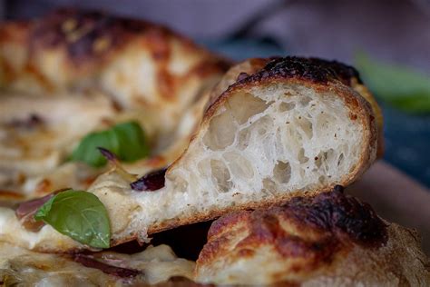 Bread Machine Pizza Dough Recipe » mayfieldlavender.com