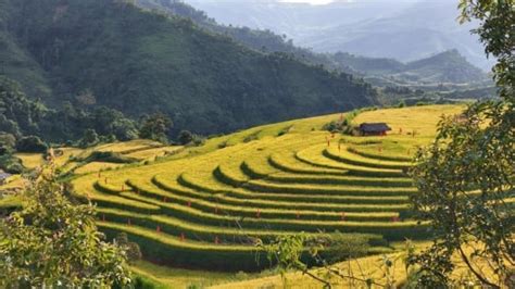 Pu Nhi prioriza la protección de los recursos hídricos y la mejora de ...