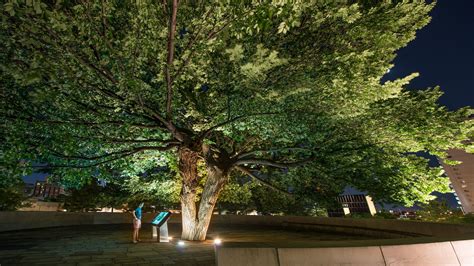 Journey of Hope Jim Thorpe Academy - Oklahoma City National Memorial ...