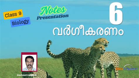 Class 9 - Biology - Chapter 6 - Classification - Simplified Notes and ...