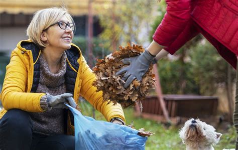 Five autumn jobs gardeners are getting wrong – and the easy fixes