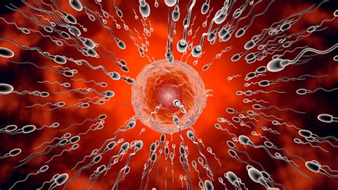 128 Men Are Competing for $100K in the Sperm Racing World Cup