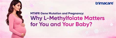 MTHFR Gene Mutation in Pregnancy: Why L-Methylfolate Matters