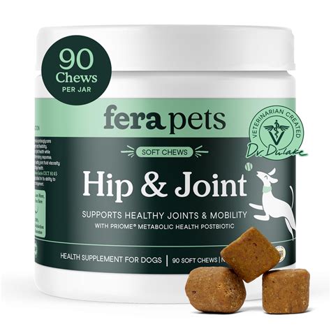 11 Best Dog Joint Health Supplement | What Owners Swear By