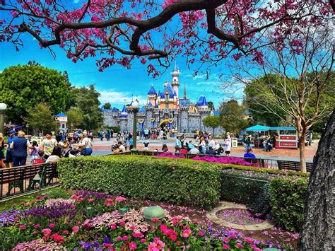 Image result for Disney Code 83