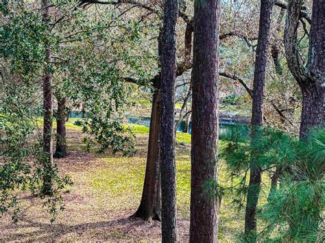 MLS 2606817 -Kingston Plantation - West Hyde Park 230 Westleton Dr ...