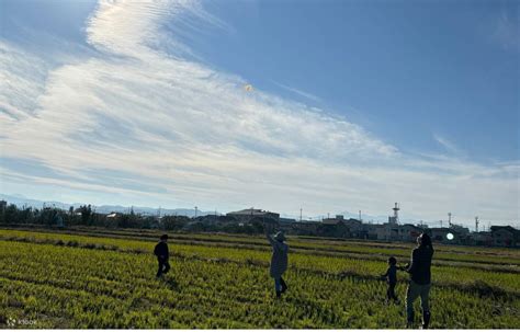 Enjoy your hometown! Agricultural experience - rice, cherries, flowers ...