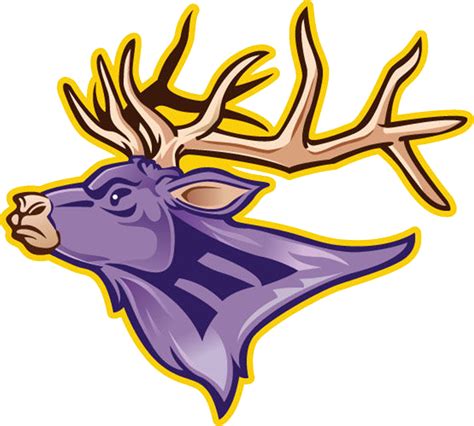 CSZ Network | Scores, Schedules, Standings