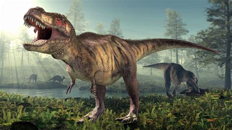 Why did T. rex have tiny arms? Scientists now think they know why | CNN