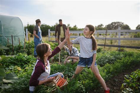 How the Seasons Can Teach Your Family About Saving | Forbright Bank