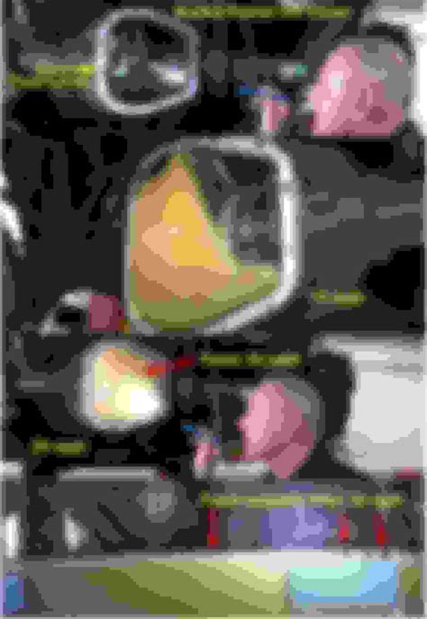 Add quart to DCT at 3 year mark? - Page 2 - CorvetteForum - Chevrolet Corvette Forum Discussion