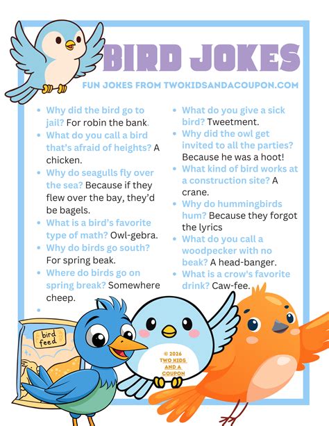 Fowl Play: Our Favorite Bird Jokes and Puns That Are Owl-fully Funny