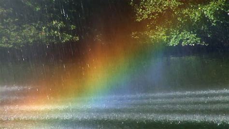 5 Surprising Facts About Rain For You To 'Pour’ Over