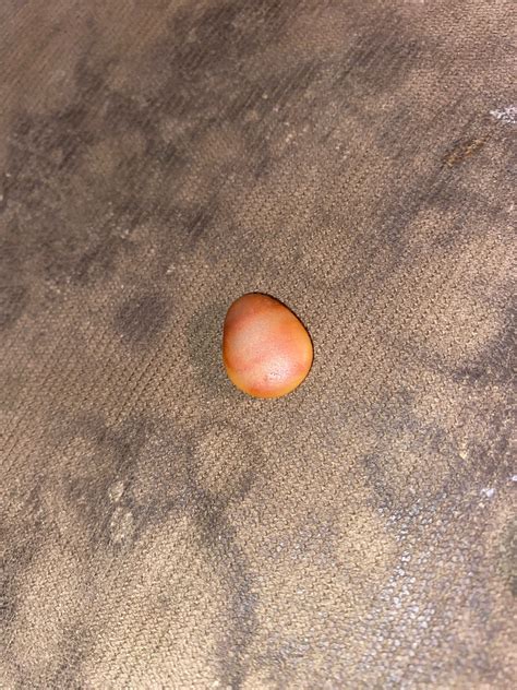 Jasper - sedimentary Identification | Rock Identification