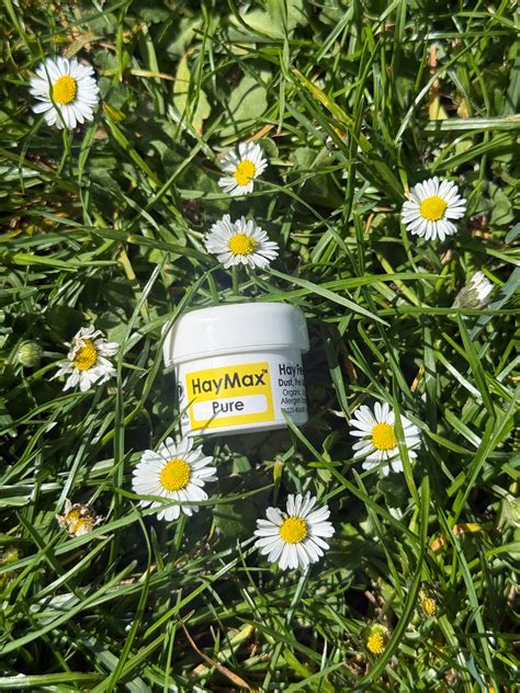 I've suffered from hay fever my whole life - this £8 hack means I don't need antihistamines anymore