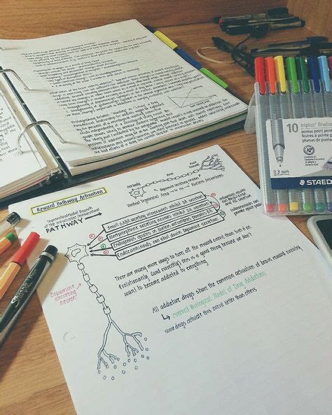 Image result for How to Source Class Notes