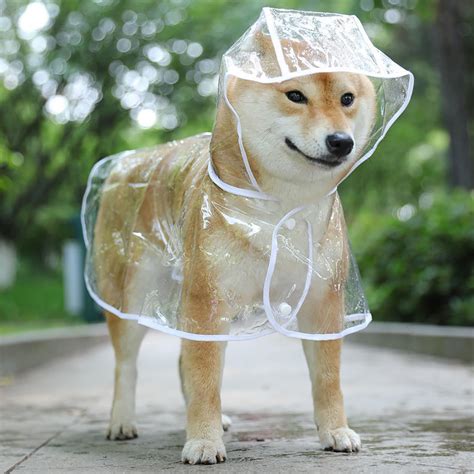 Amazon.com : Pet Raincoat, Transparent Dog Cat Raincoat with Hood ...