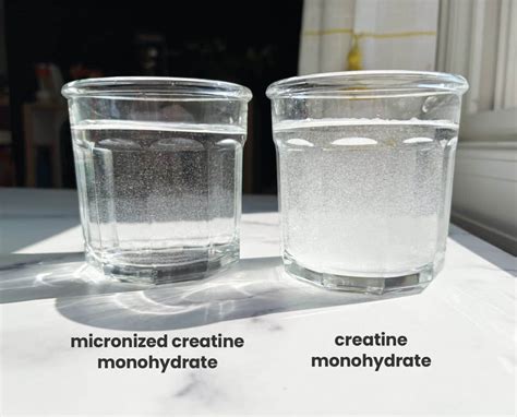 Creatine Monohydrate vs Micronized: Which is Best? • Well Minerals