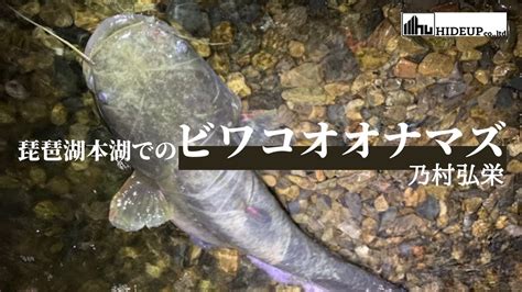 Image result for Conditional Programming in Python