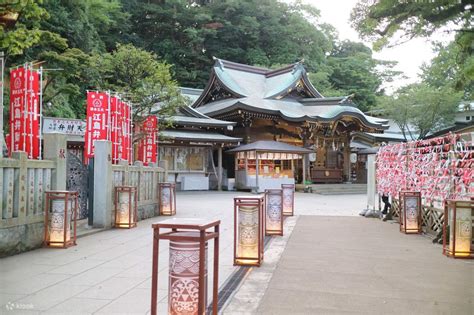 [One-day tour to Mount Fuji’s popular flower viewing spots] Oishi Park ...