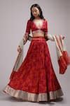 Buy Red Chanderi, Lurex, Cotton, Georgette Thia Abstract Rose Print ...