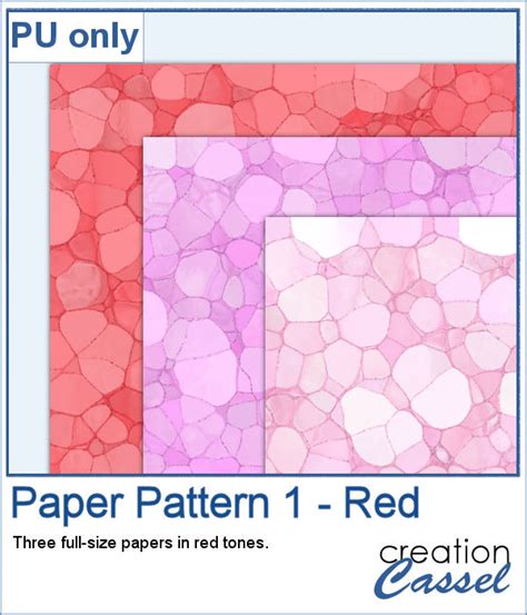 Image result for IPS Paper Pattern