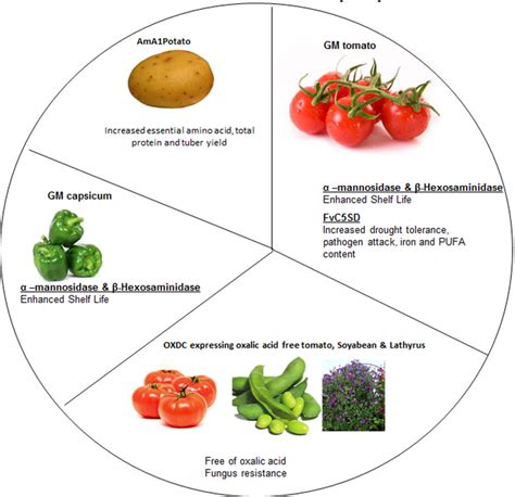 Genetic Modification 的图像结果