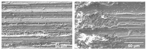 Plasma Electrolytic Oxidation (PEO) Layers from Silicate/Phosphate ...