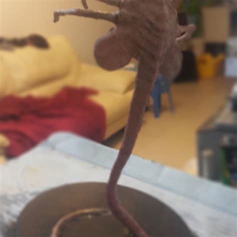 Image result for Alien Facehugger High Resolution Isolated