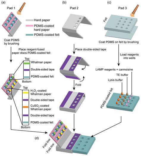 Pipette-Free and Fully Integrated Paper Device Employing DNA Extraction ...