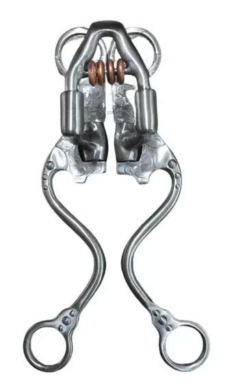 Reining Collection 的图像结果