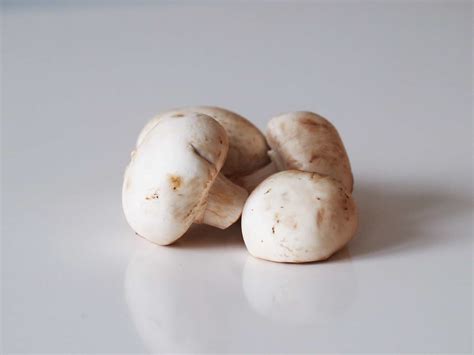 Mushroom (White Button) for Babies - First Foods for Baby - Solid Starts