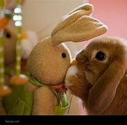 Image result for Spring+Baby+Bunnies