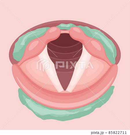 Image result for Alien BG