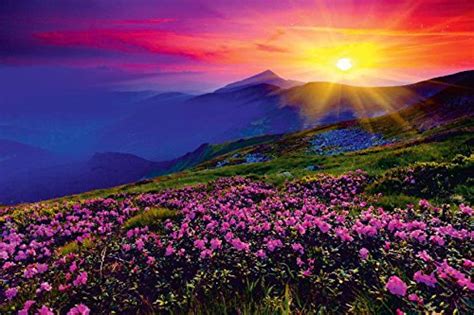 Kayra Decor Sunrise at Valley of Flowers 3D Wallpaper Print Decal Deco ...