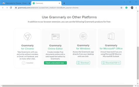 Grammarly Plugin 的图像结果