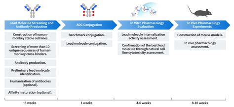 Image result for ADC Formulation Development