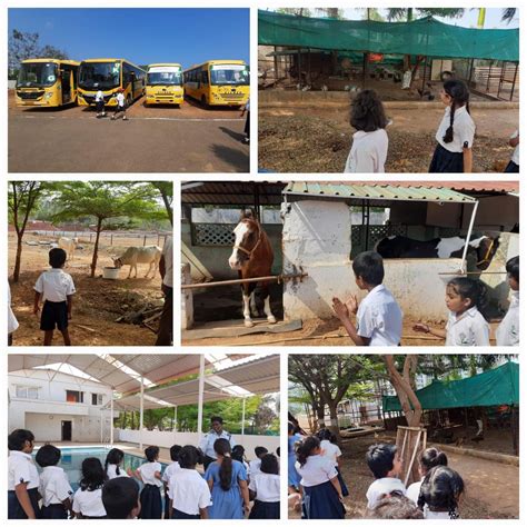 School's Gallery | Join India's Best school - Greendale